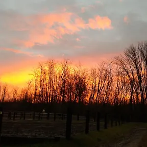https://agriturismo-jesson-rosamund.it-lombardy.com
